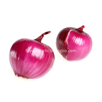 Export The Top Quality Red Onion